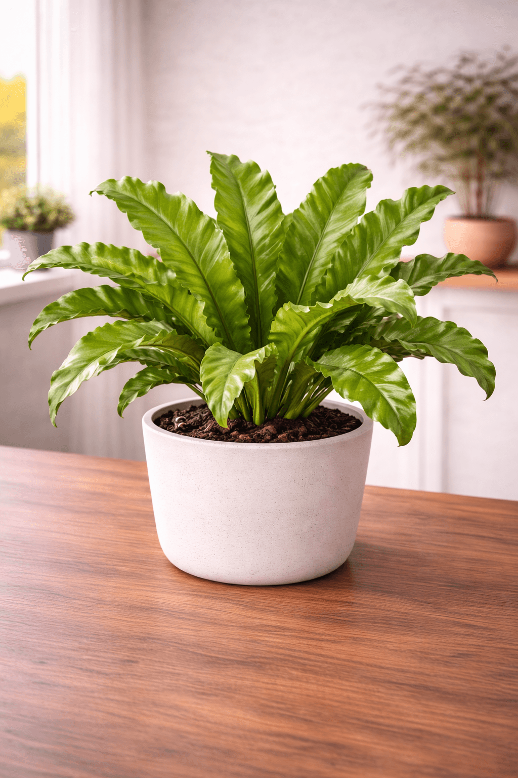 Bird's Nest Fern Care Guide - Light, Water, Soil & Expert Tips - plant care guide